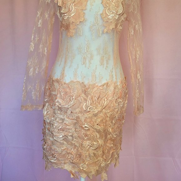 Parvenue Baby Pink Lace Dress - Picture 6 of 7